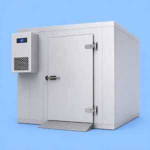 Commercial cold room for professional food storage.